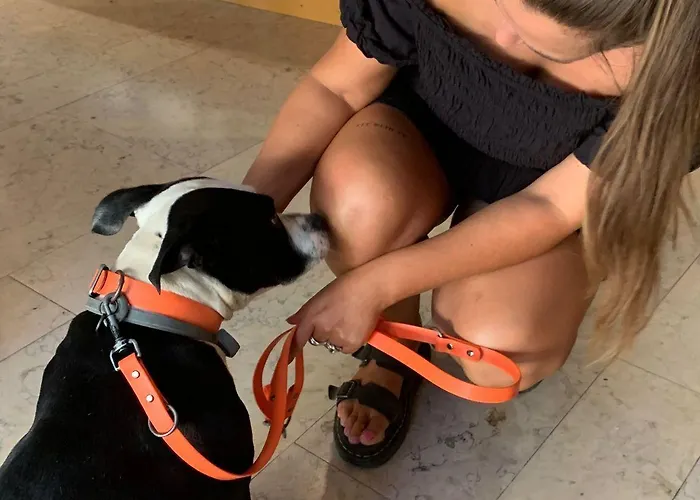 Vandrerhjem Wot Nomad Social *